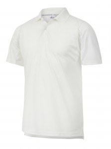 images/stories/virtuemart/product/shirt-02