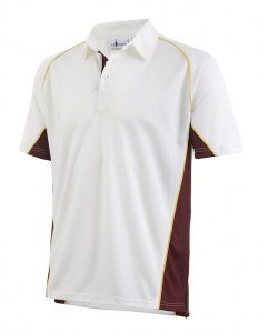 images/stories/virtuemart/product/shirt_004