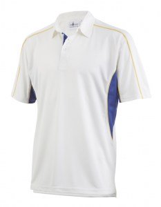 images/stories/virtuemart/product/shirt_007