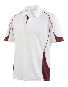 images/stories/virtuemart/product/shirt_009