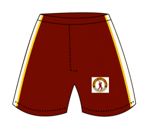 images/stories/virtuemart/product/training-shorts-2-1